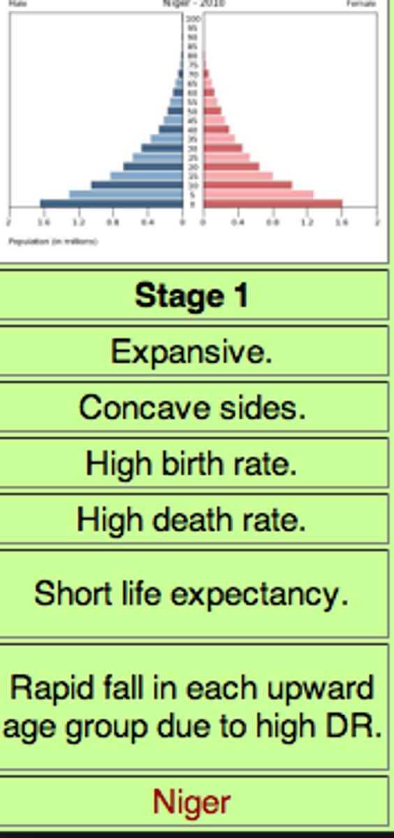 <p>high birth rates, rapid fall in upward age group due to high death rates, short life expectancy</p>