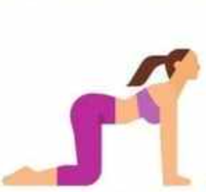 <p>name this pose</p>