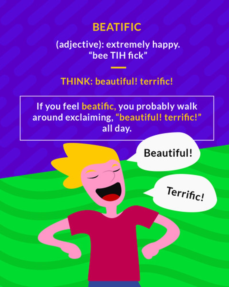 <p>(adj.) blissfully happy</p><p>(adj.) extremely happy</p>