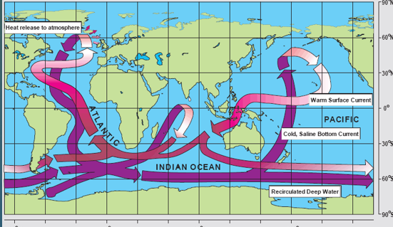 <ul><li><p>Broecker (coined the term global warming) </p></li><li><p>North Atlantic Deep-water (NADW)&nbsp;</p></li><li><p>Circumpolar Deep-water (CDW)&nbsp;</p></li><li><p>Antarctic Bottom water (AVBW)&nbsp;</p></li><li><p>Temp. constant - no sunlight&nbsp;</p></li><li><p>Salinity constant - no precipitation, evaporation, or land runoff&nbsp;</p></li><li><p>Movement driven by bottom topography&nbsp;</p></li></ul><p></p>
