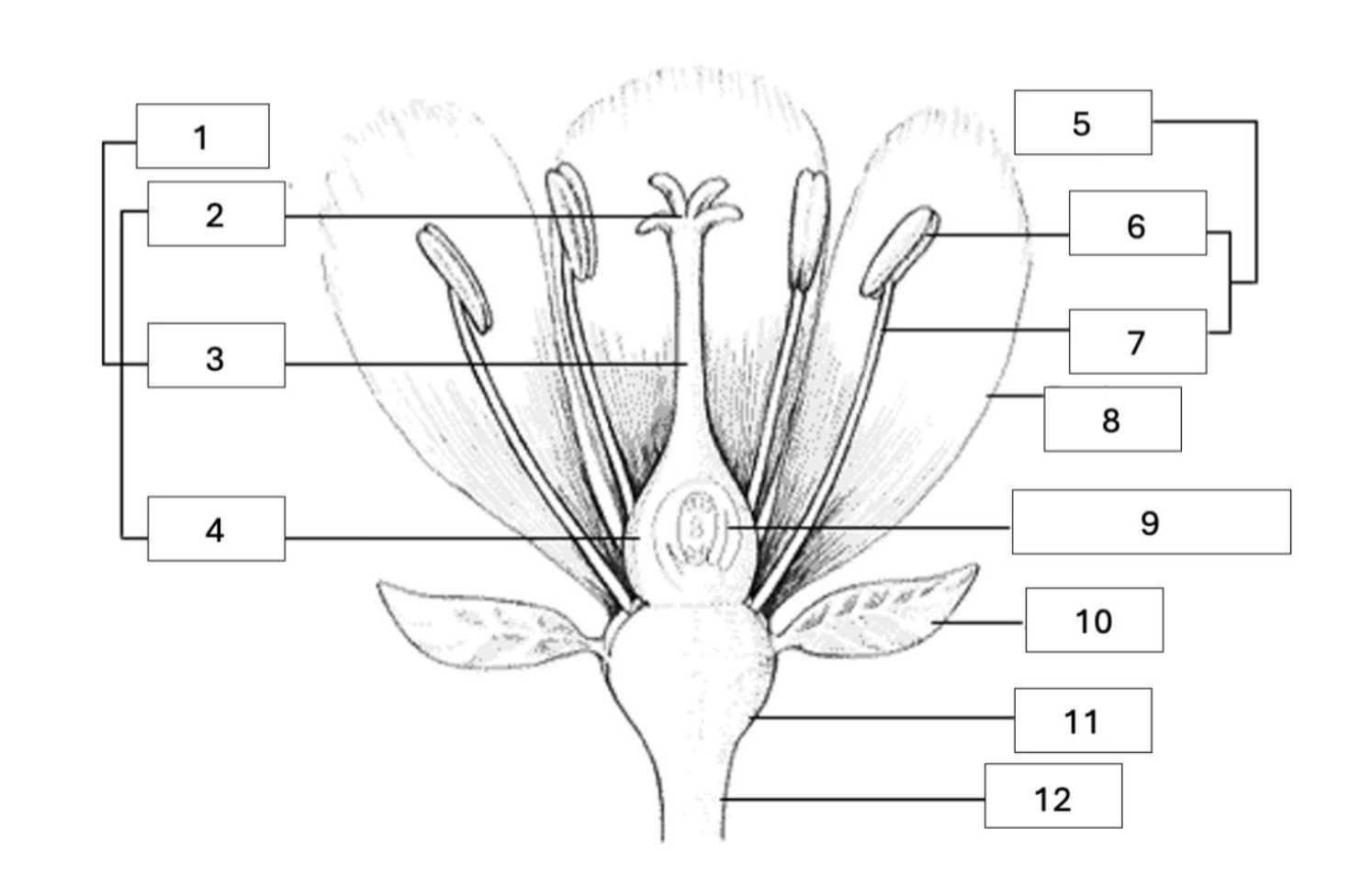 <p>what is the name of 2?</p>