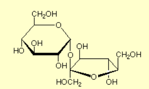 Broken down for quick energy. Dimer of carbohydrate. Di= two, saccharide= sugar