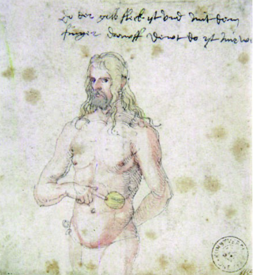 term image