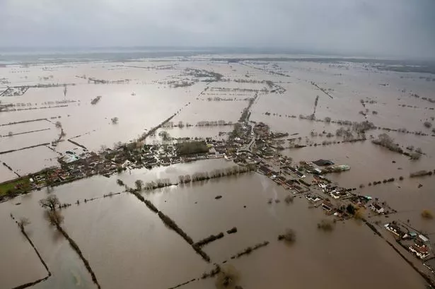 <p>14000 hectares</p><p>(6900 hectares of which was flooded for over a month)</p>
