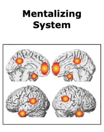 <p>slower, controlled processing of the thoughts, feelings and inner experiences of other - <strong>social evaluation</strong></p><ul><li><p>prefrontal cortex, inferior frontal gyrus, temporo-parietal junction, temporal pole, posterior parietal cortex, anterior cingulate cortex, posterior cingulate cortex</p></li></ul><p></p>