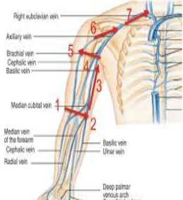 <p>small soft tube, short term treatment up to a few weeks<br>for meds and liquid nutrition</p>