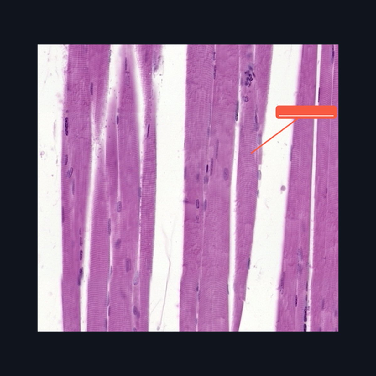 <p>Identify the structure</p>