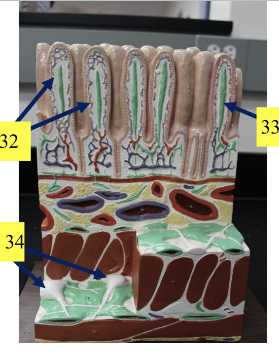 <p>34</p>