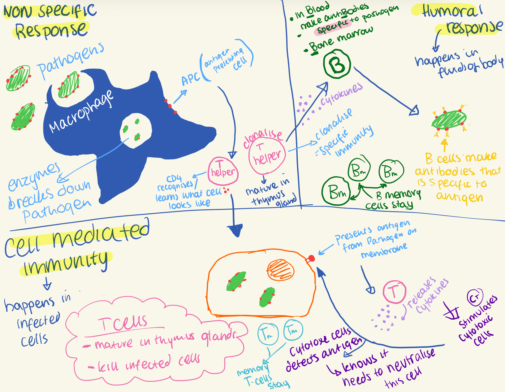 knowt flashcard image