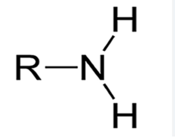 <p>-NH2</p>