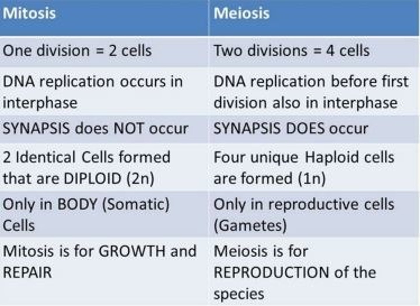 <p>MITOSIS: <br>1 div = 2 cells<br>DNA replication occurs in interphase<br>Synapsis DOESN’T occur<br>2 identical cells formed that are diploid (2n) <br>Only in body (somatic) cells</p><p>for <strong>GROWTH </strong>and <strong>REPAIR</strong><br><br>MEIOSIS: <br>2 div = 4 cells <br>DNA replication before first div in interphase<br>Synapsis DOES occur<br>4 unique haploid cells (1n)<br>Only in reproductive cells (gametes)<br>for <strong>REPRODUCTION</strong></p>