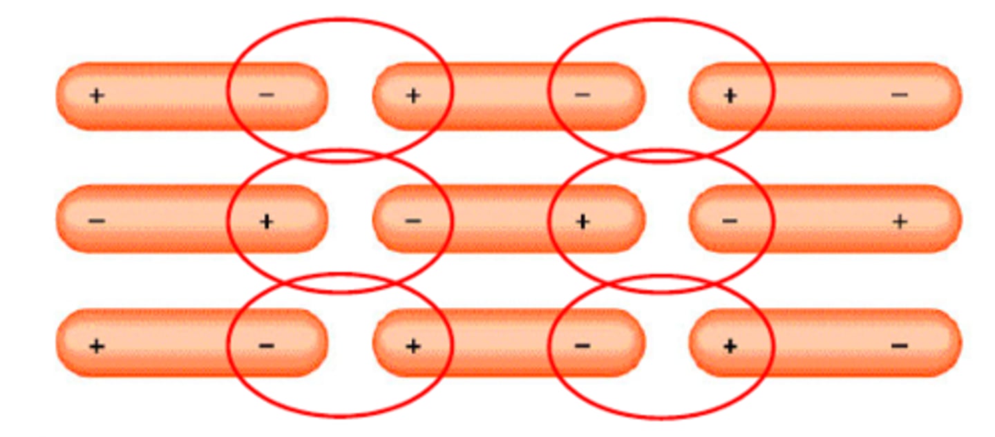<p>forces between polar molecules (partially charged)- opposite poles match up by electrostatic attraction</p>