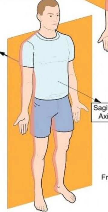 <p>What plane is this called? It divides the body in front ( anterior ) and back ( posterior )</p>