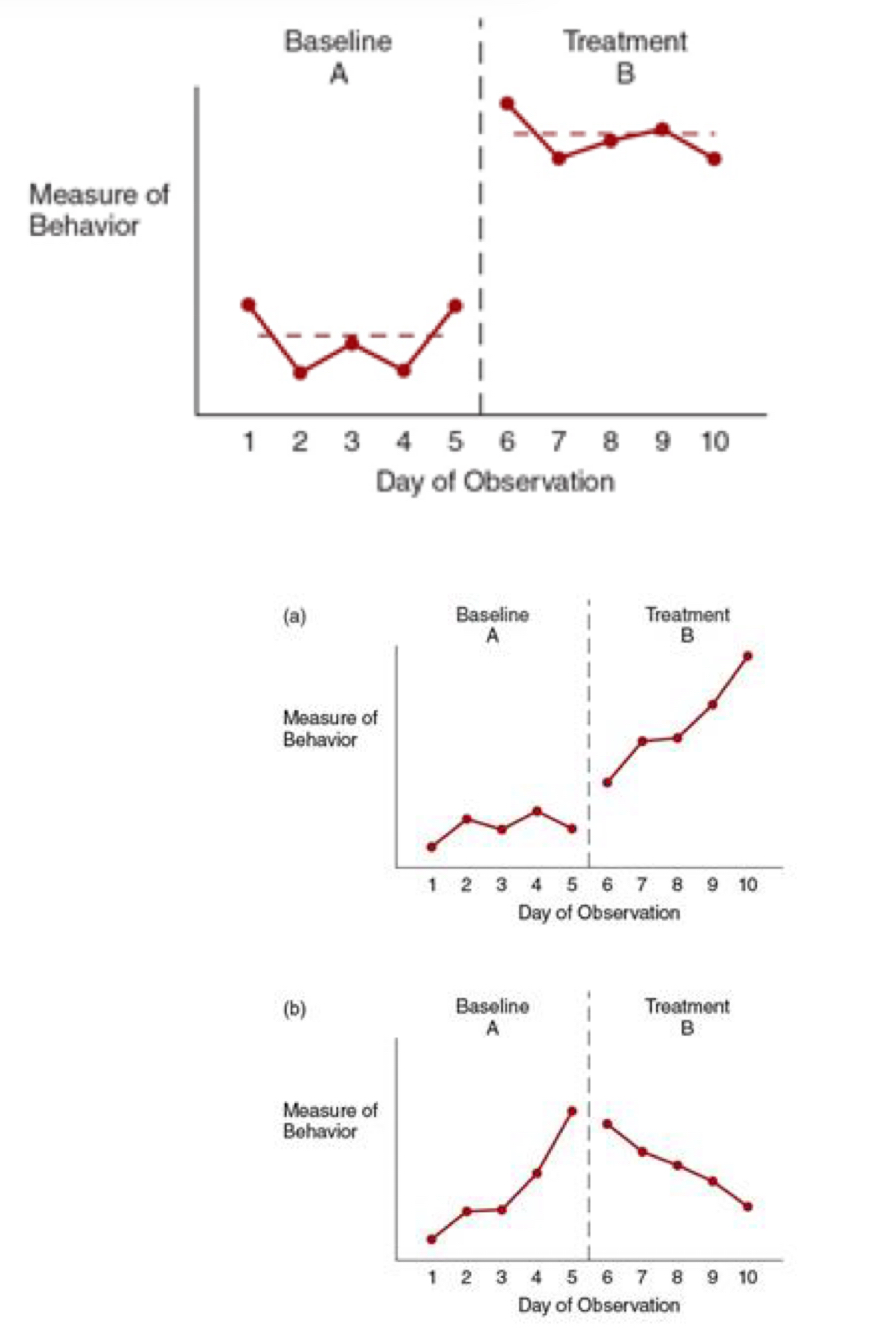 <p>explain what we can see in these graphs (individually)</p>
