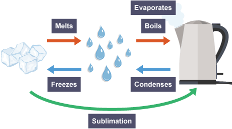 <ol><li><p>melt</p></li><li><p>freeze</p></li><li><p>evaporate</p></li><li><p>condense</p></li><li><p>sublimate</p></li></ol>