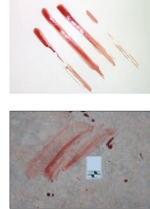 <p>Swipe </p>