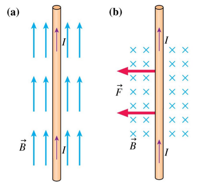 <p>Magnetic force on a current-carrying wire </p>