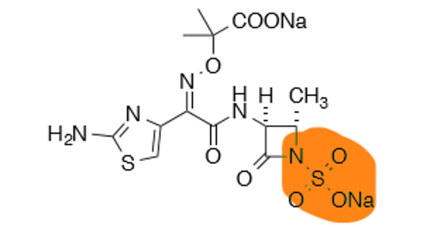 <p>Monobactam, synthetic drug, sulfamic acid at the C-2 position to increase electronegativity for better reaction with transpeptidase. B-Lactamase resistant. No cross allergenicity with penicillins and cephalosporins (Except ceftazidime). Treats gram (-) bacteria.</p>