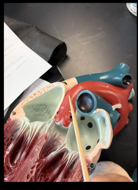 <p>What is this?</p>