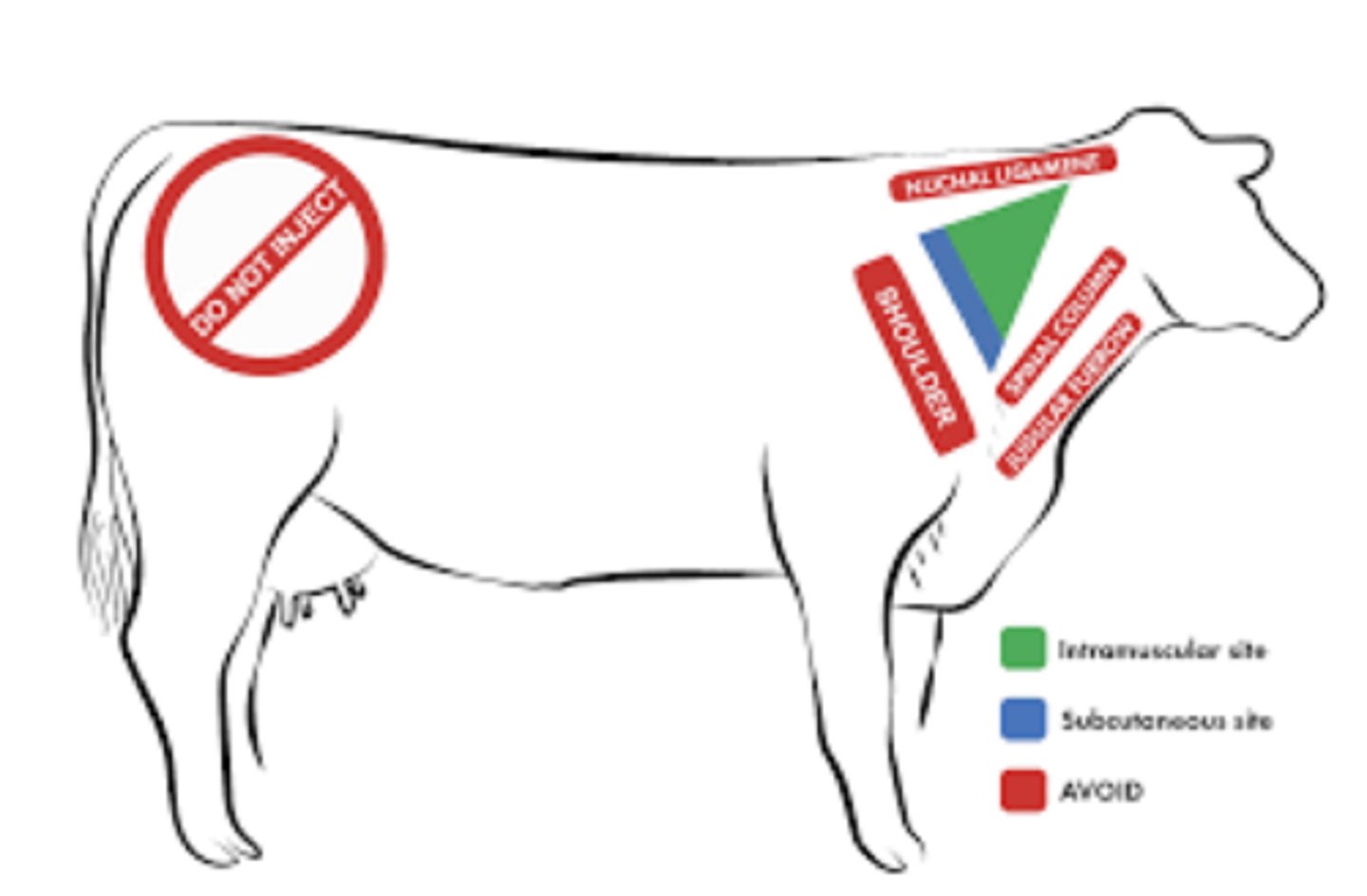 <p>what are the key results of preconditioning that lead to a "value-added calf"</p>
