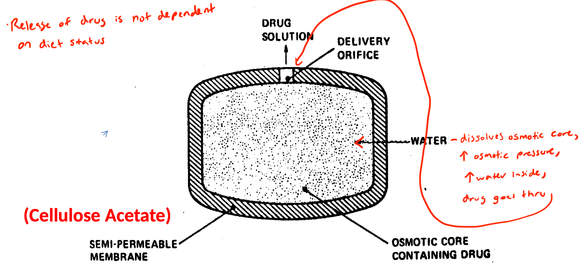 * Based on osmosis concept
* Oros provides 24 hr controlled drug release that is independent of many factors such as diet status