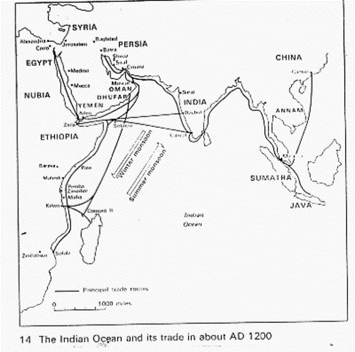 <p>Spice (pepper, nutmeg cinnamon etc...), cotton, steel, tanned leather, Slaves ivory, gold, fine porcelain aka Fine China, Figs, dates, horses</p>