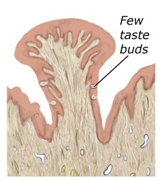 <p>What is this?</p>