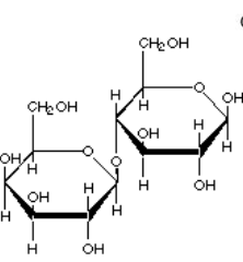 <p>An example of a disaccharide that is found in milk. Made up of α or glucose + galactose.</p>