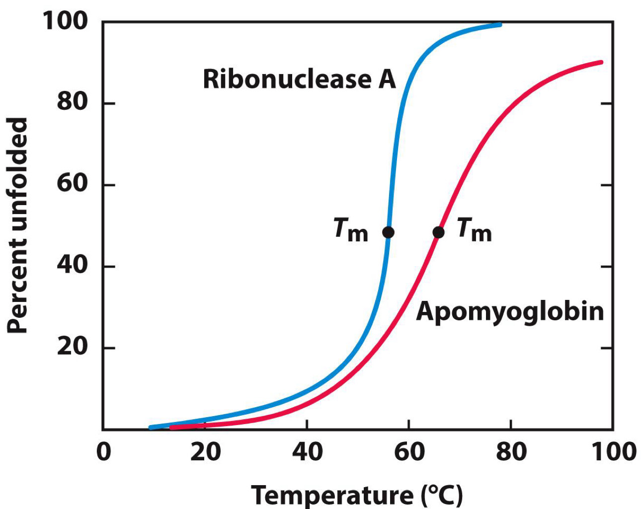 <p><span>Ribonuclease refolding experiment</span></p>