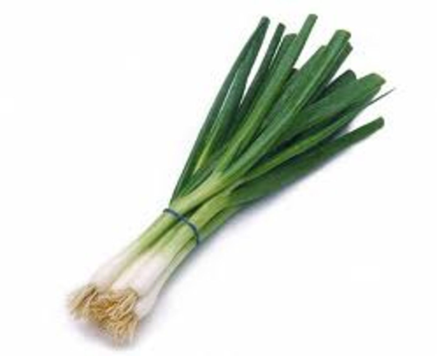 <p>(cōng) green onion</p>