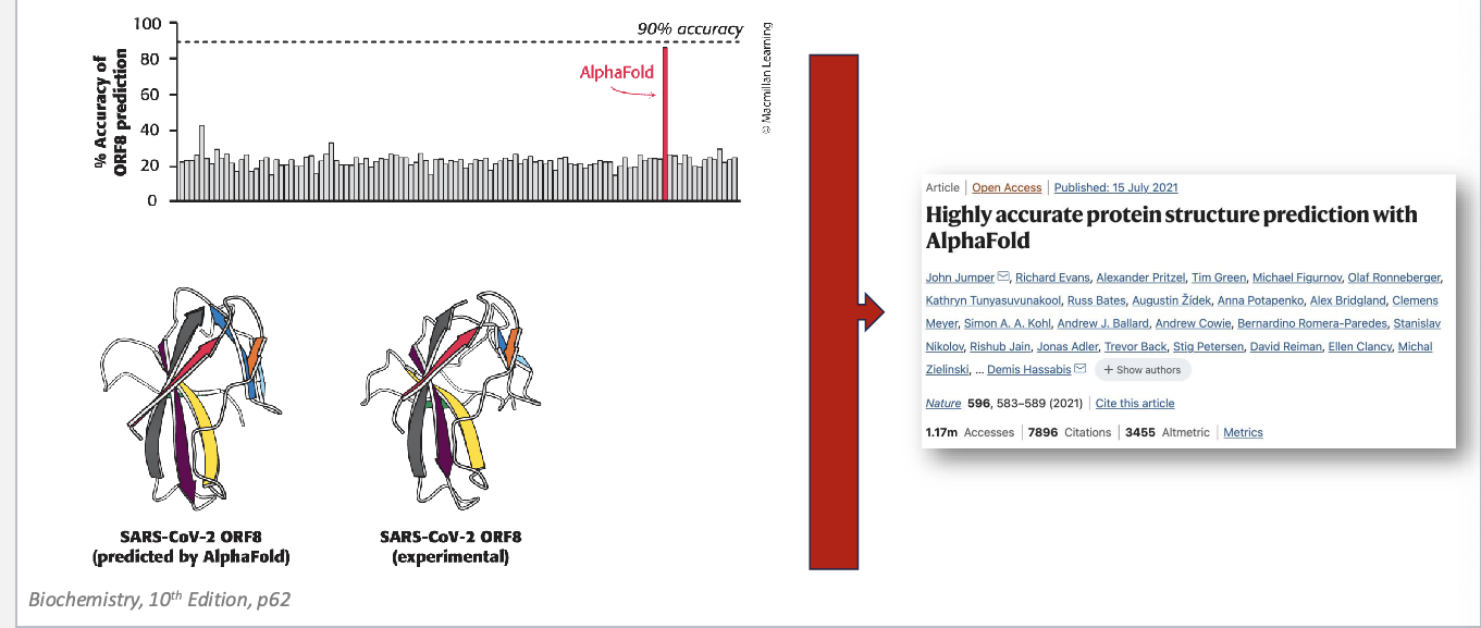 <p>a significant step forward in protein <u>folding</u> prediction</p><ul><li><p>since 1994, protein structure prediction challenge “critical assessment of structure prediction” (CASP) </p></li><li><p>alphafold structures = vastly more accurate than competing methods</p></li><li><p>alphafold = freely available, AI program that can predict the shape of a protein, almost instantly, down to atomic accuracy</p></li></ul><p></p>