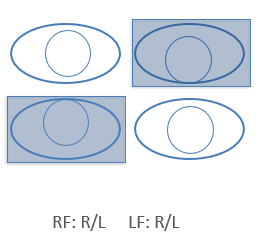 <p><span>•&nbsp; De deviatie is hetzelfde bij rechts- en linksfixatie</span><br><span>Gewone verticale deviatie → R/L</span></p><p></p>