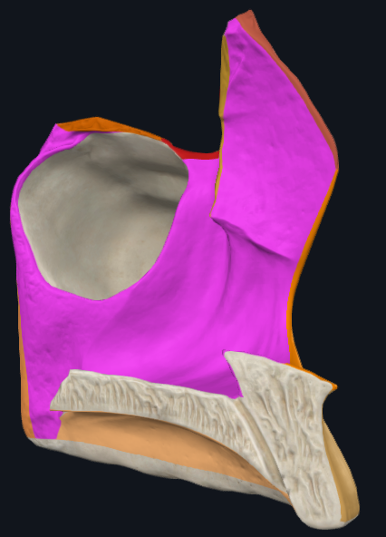 term image
