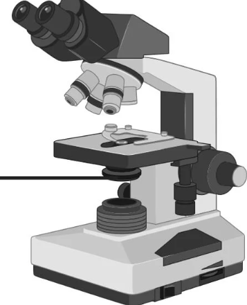 <p>A lens system that focuses light onto the specimen, enhancing illumination and contrast. </p>