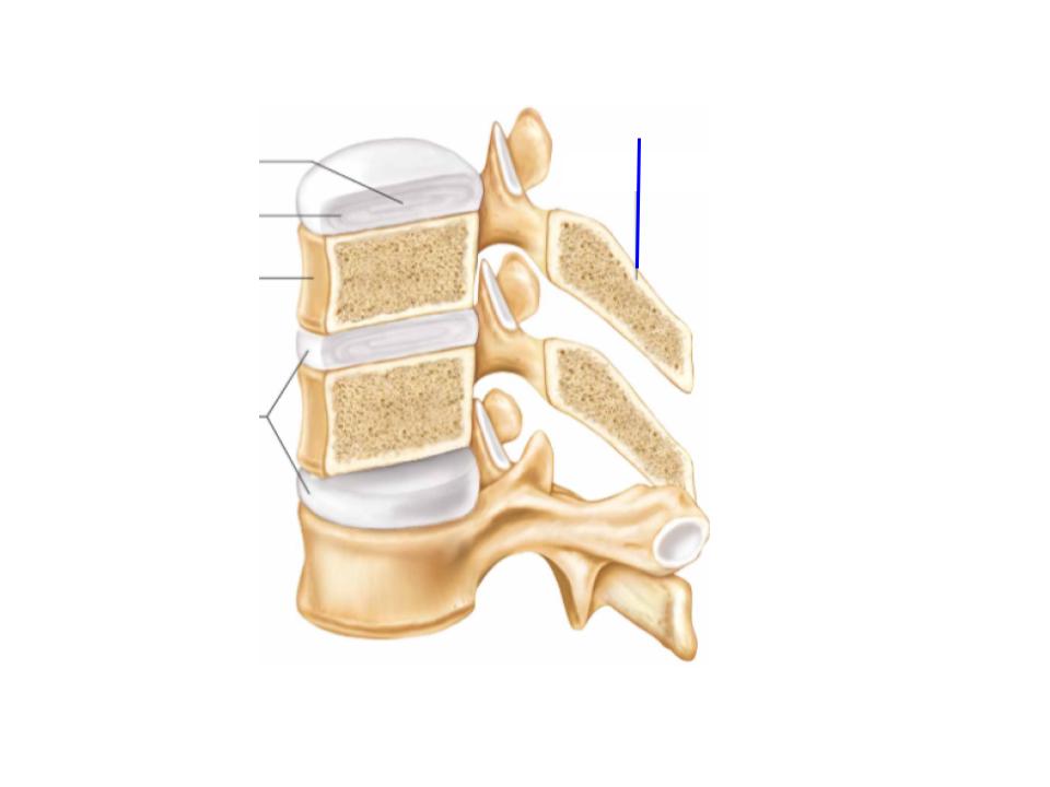 <p>What is this image pointing at? </p>