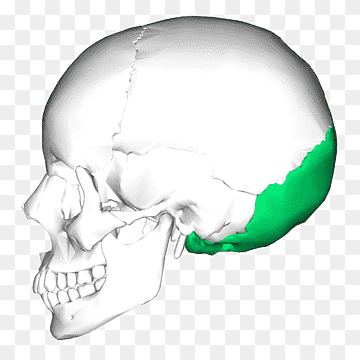 <p>what is this? </p>