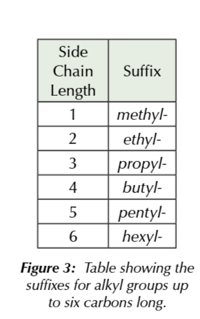 <p>branched alkanes</p>