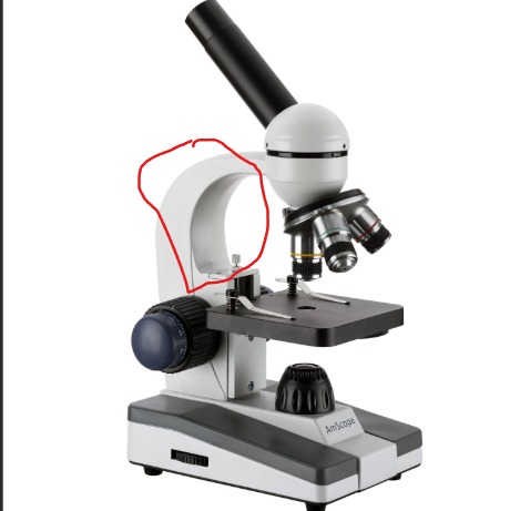 term image