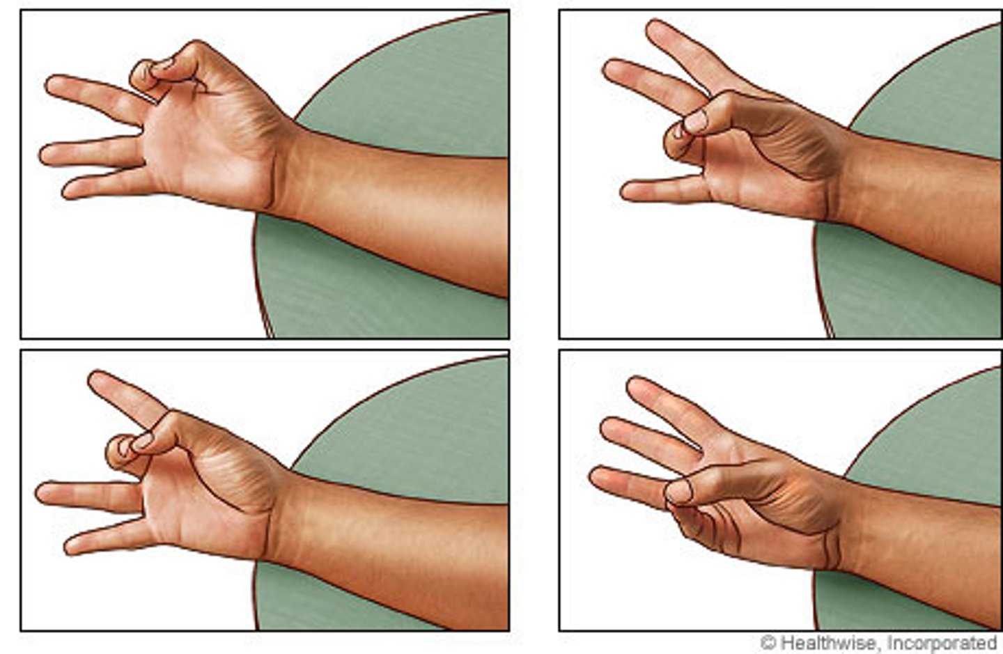 <p>Movement of the thumb to touch the fingertips</p>