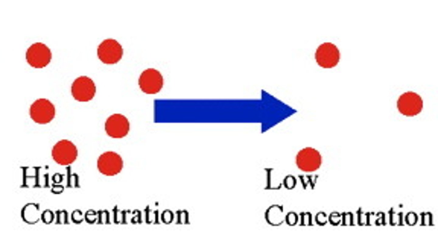 <p>Movement of particles from an area of high concentration to low</p>