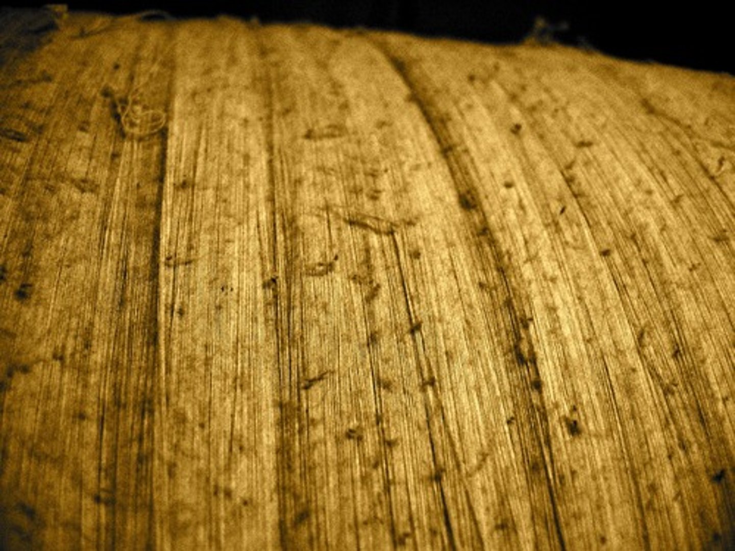 <p>made of cotton</p>