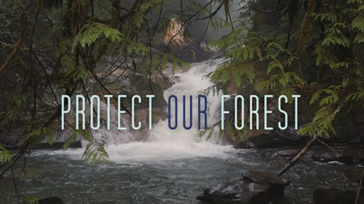 <p>bảo vệ = protect, shield >< endanger. Ví dụ: Regulations safeguard natural resources from pollution.</p>