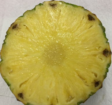 <p>Which of the following fruit categories most completely describes a pineapple?</p><ul><li><p>Multiple, fleshy</p></li><li><p>Simple, fleshy, accessory</p></li><li><p>Aggregate, dry, accessory</p></li><li><p>Simple, fleshy</p></li></ul><p></p>
