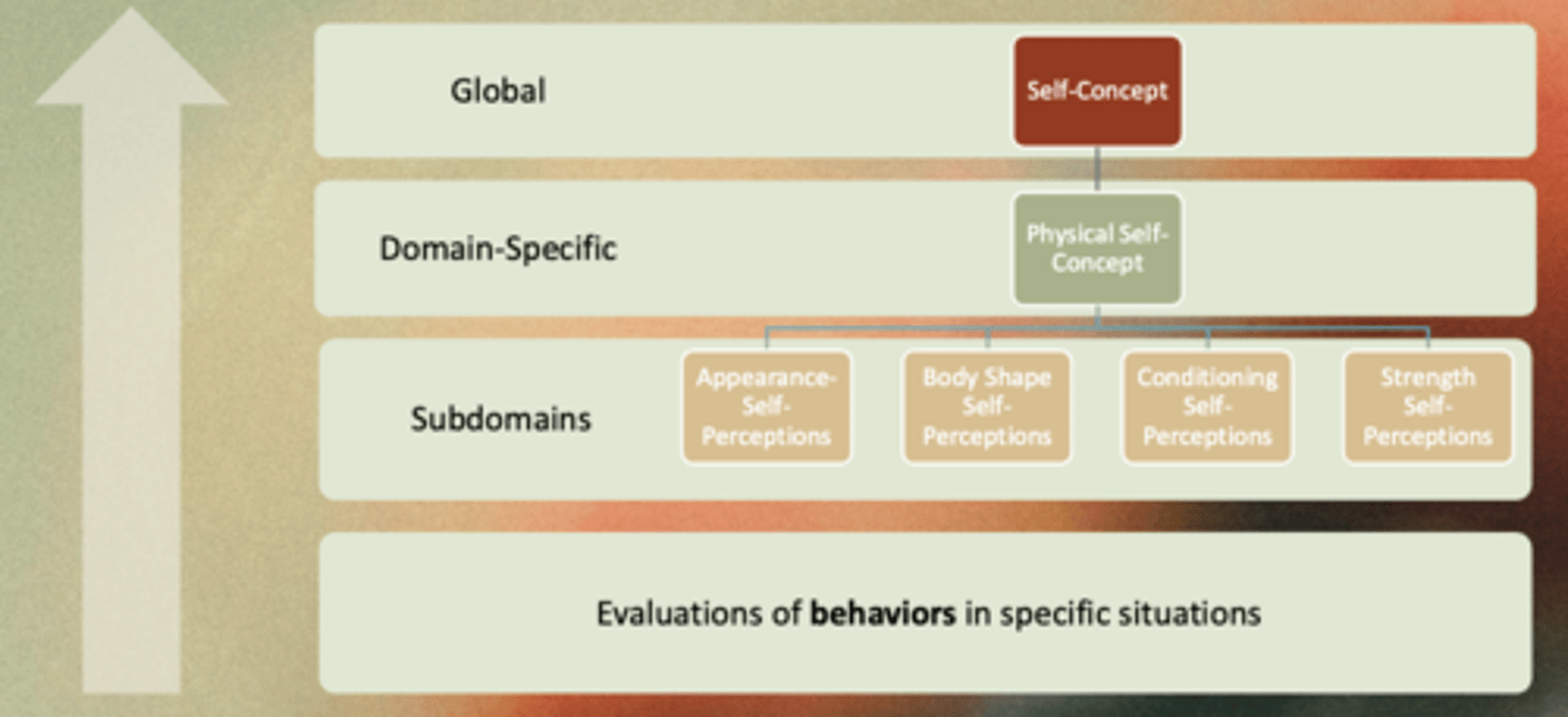 <p>Exercise impacts global self - esteem by affecting domain - specific aspects of the self</p>