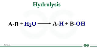 <p>Adding water to a reaction to break it down</p>