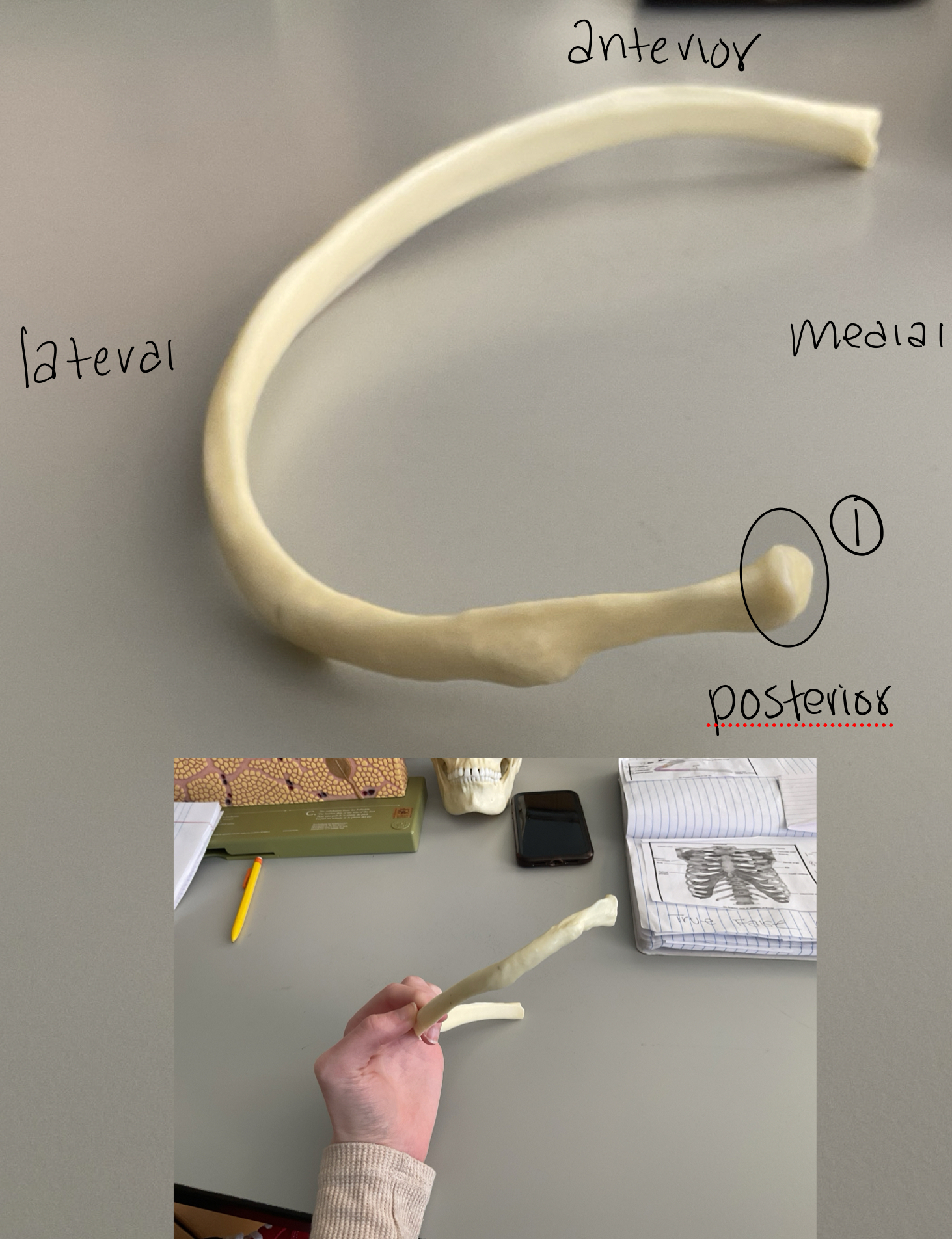 <p>1</p>