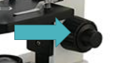 <p>What is the part of the microscope? What is its function?</p>