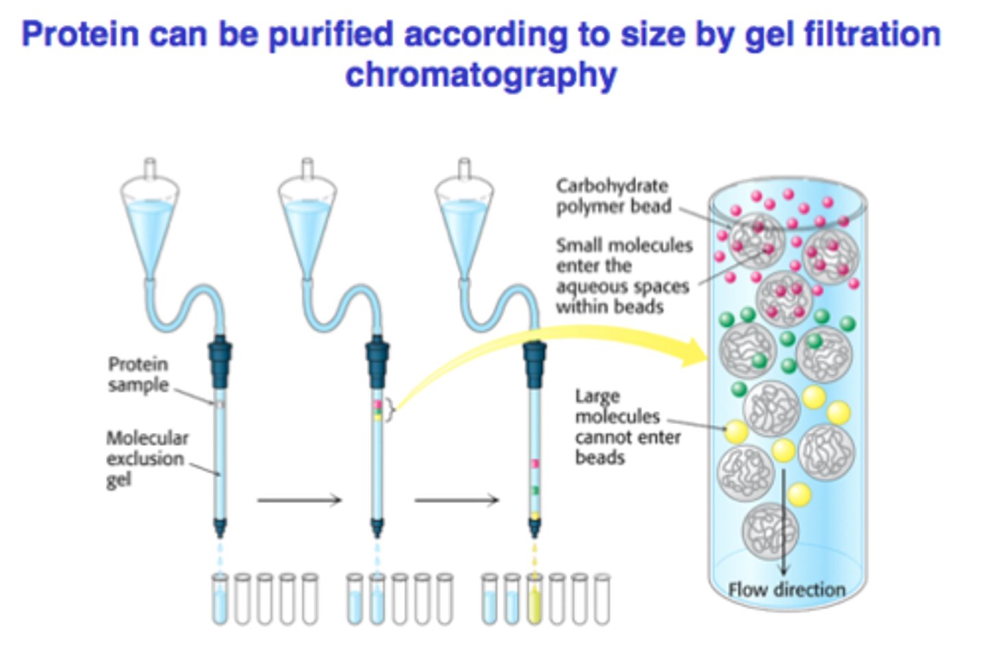 <p>- aka molecular exclusion chromatography</p><p>- gravity dependent</p><p>- separates proteins based on size</p><p>- column filled with porous beads which trap small molecules</p>