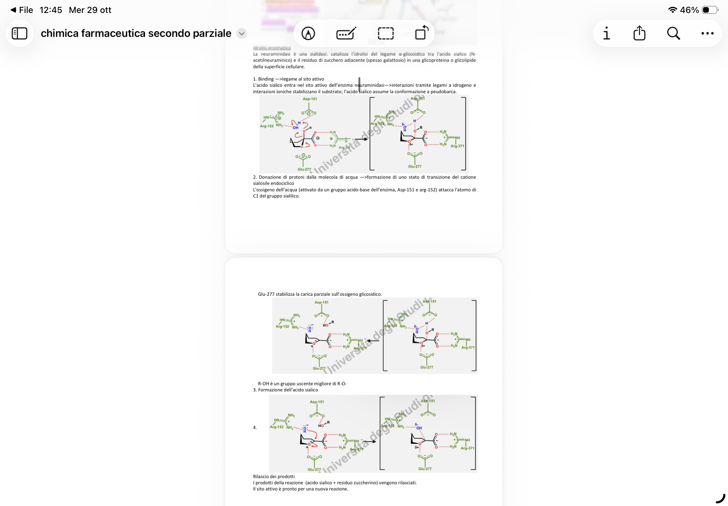knowt flashcard image