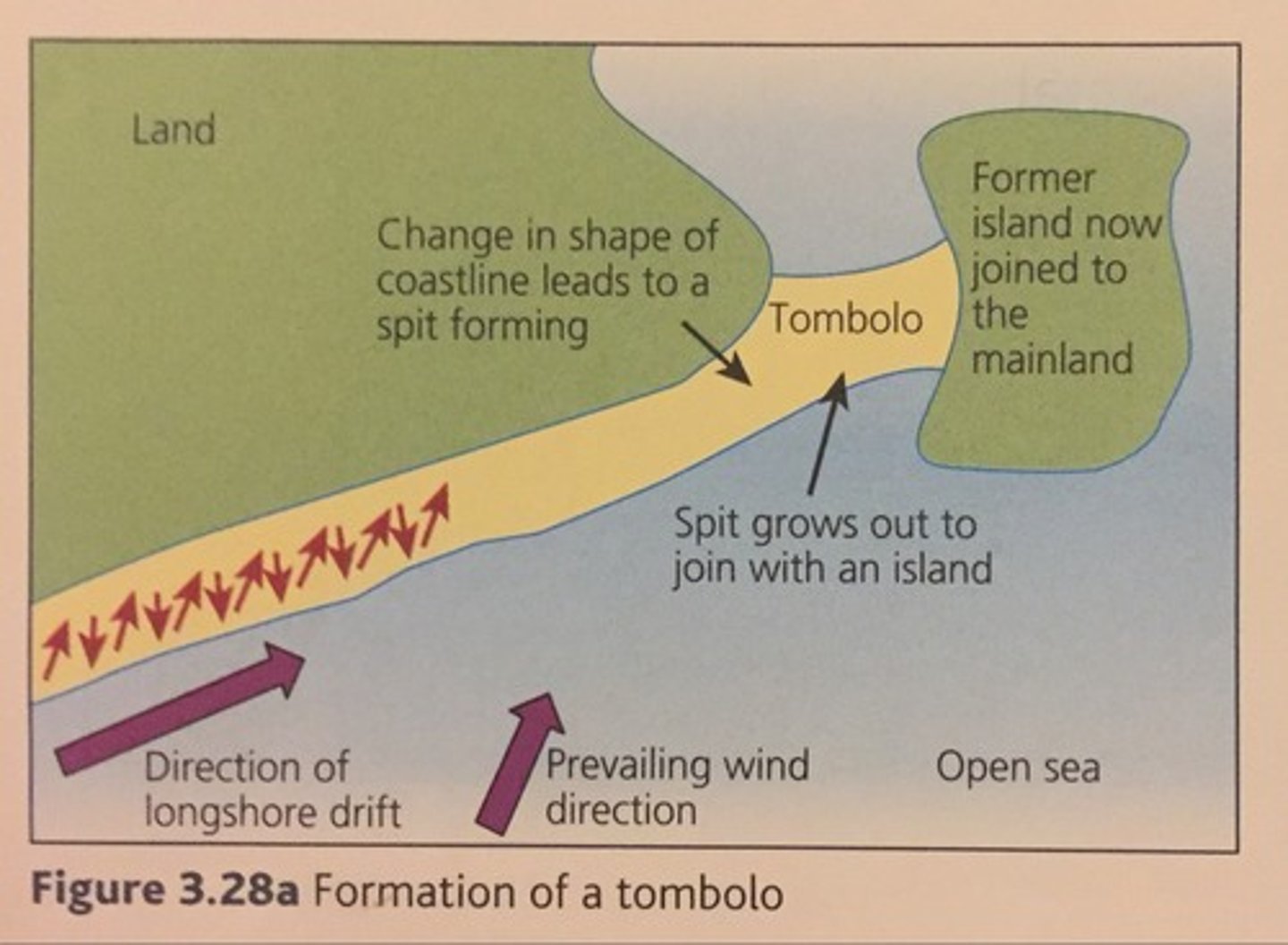 <p>= a beach/ridge of sand and shingle that has formed between a small island and the mainland<br><br>... deposition occurs where waves lose energy and the tombolo moves up <br><br>may be covered at high tide <br>e.g., <br>St Nina's isle to Mainland, sheltland Uk<br>e.g., <br>shodo island, Japan</p>